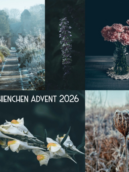 Kathienchen Advent 2026