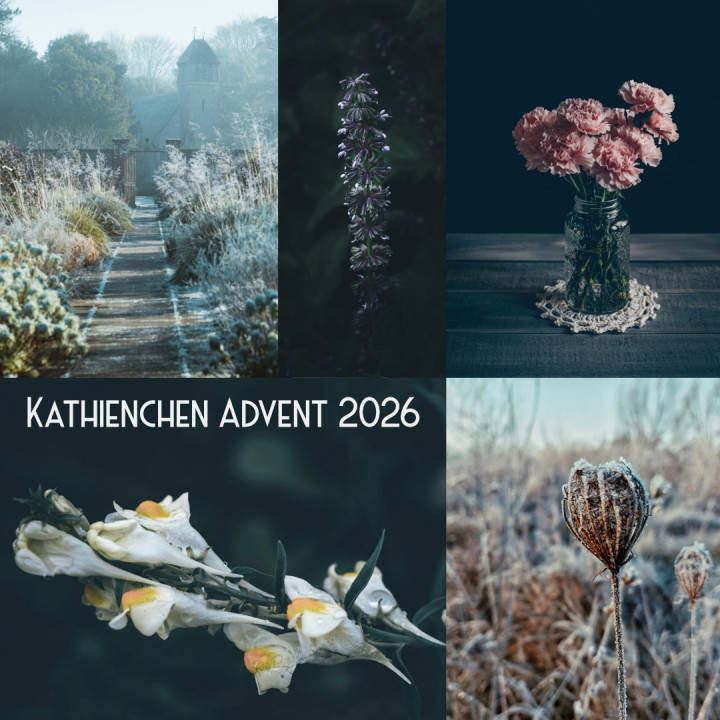 Kathienchen Advent 2026
